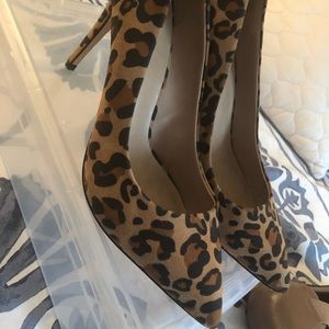 Leopard shoes